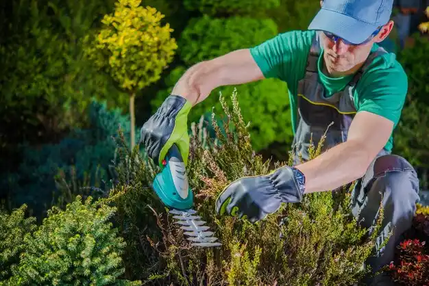 landscaping services Pontotoc